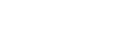 Ozi Air